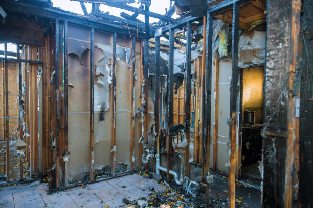Professional Soot Cleanup technician working in Versailles, OH